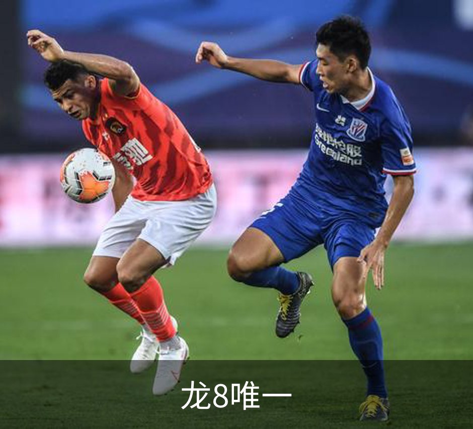 龙8唯一概况